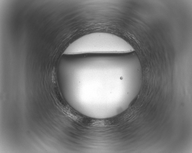 X0000068820083200605050953