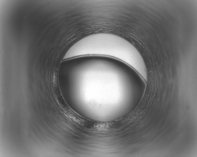 X0000068820084200605050953