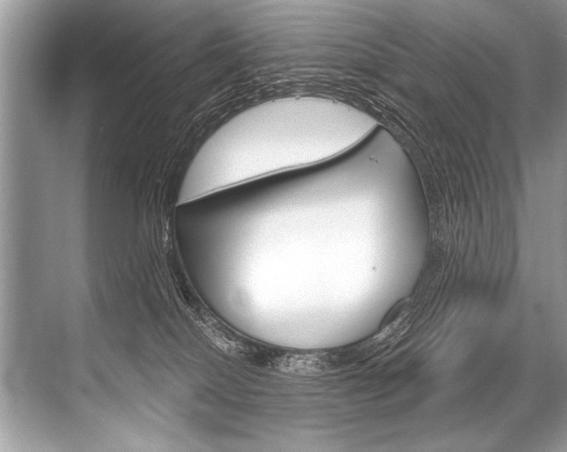 X0000068820086200605050953