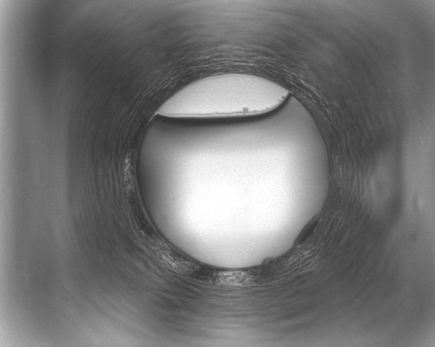 X0000068820087200605050953