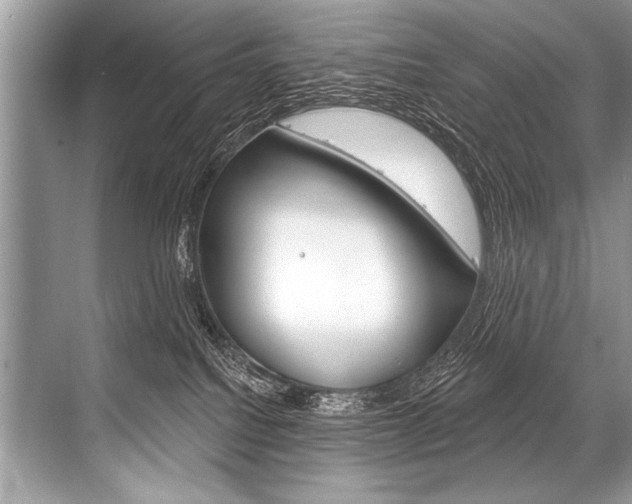 X0000068820088200605050953