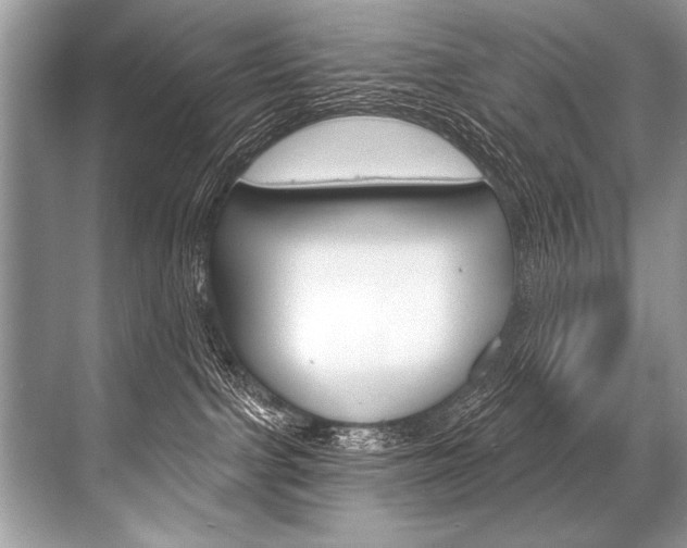 X0000068820091200605050953