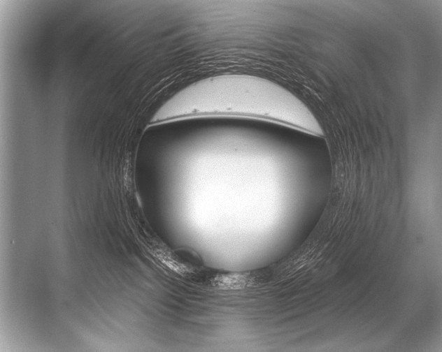 X0000068820092200605050953