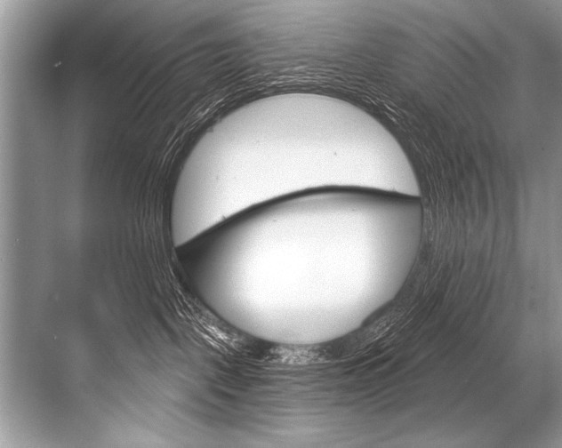 X0000068820093200605050953