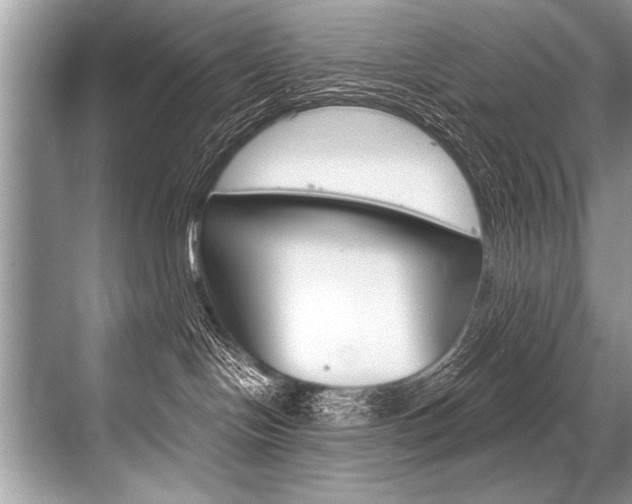 X0000068820094200605050953