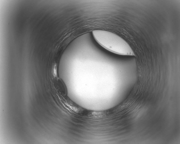 X0000068820095200605050953