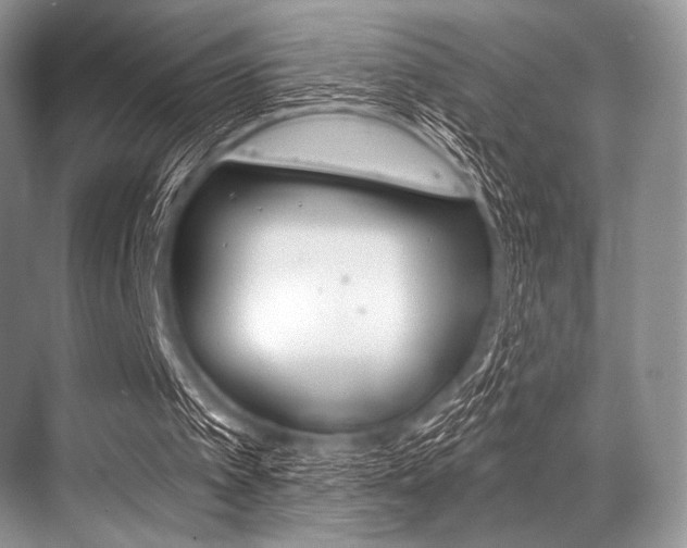 X0000068820097200605050953