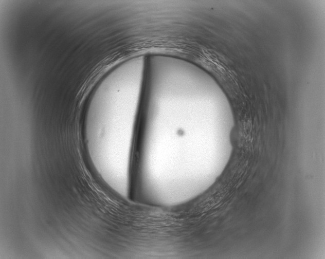 X0000068820098200605050953