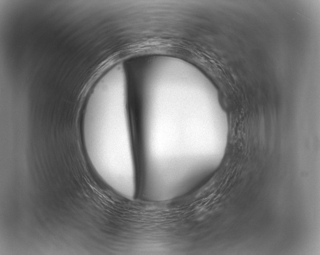 X0000068820099200605050953