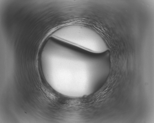 X0000068820100200605050952