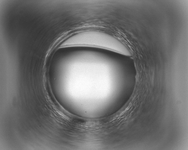 X0000068820101200605050952