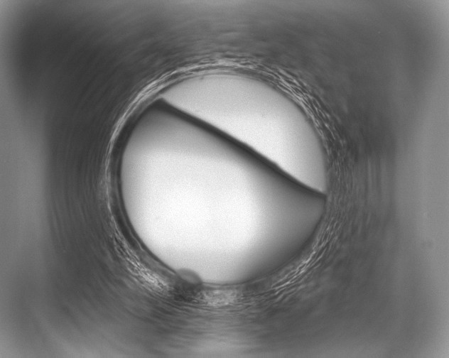 X0000068820102200605050952