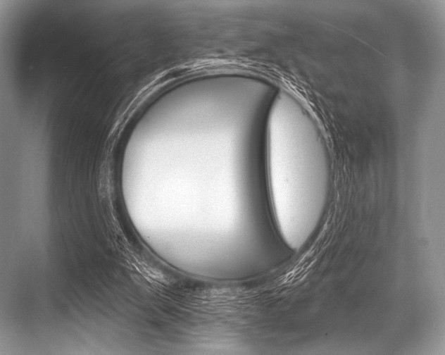 X0000068820103200605050952