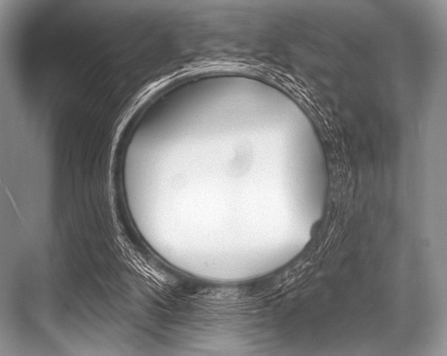 X0000068820104200605050952