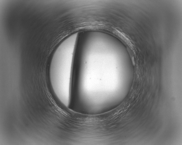 X0000068820105200605050952