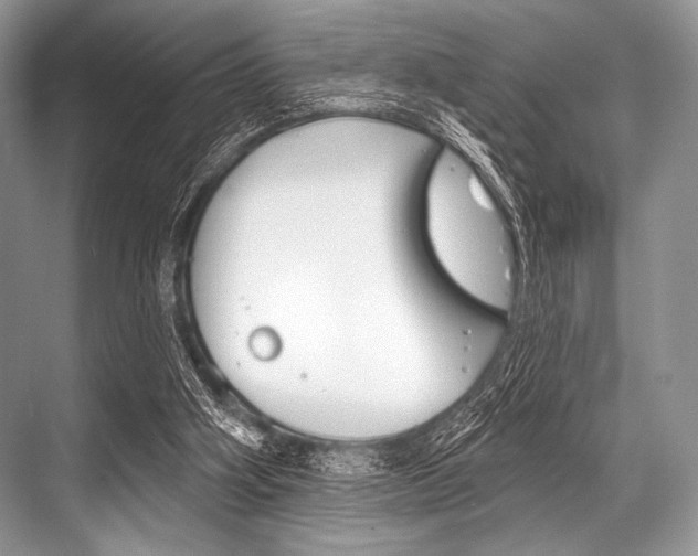 X0000068820106200605050952