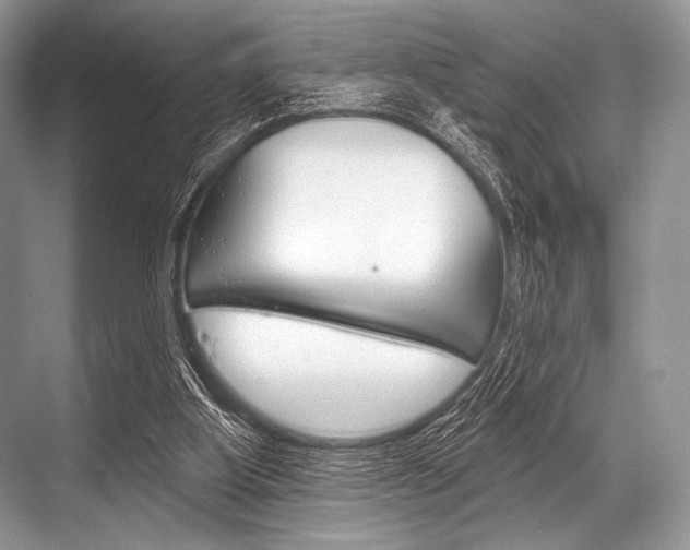 X0000068820107200605050952