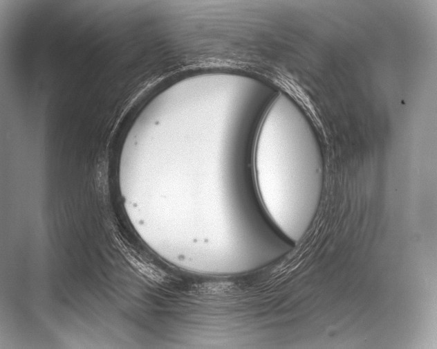 X0000068820108200605050952