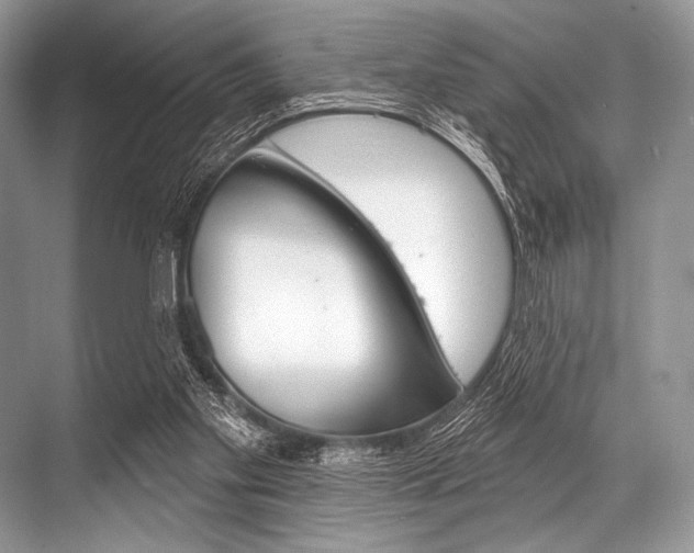 X0000068820109200605050952