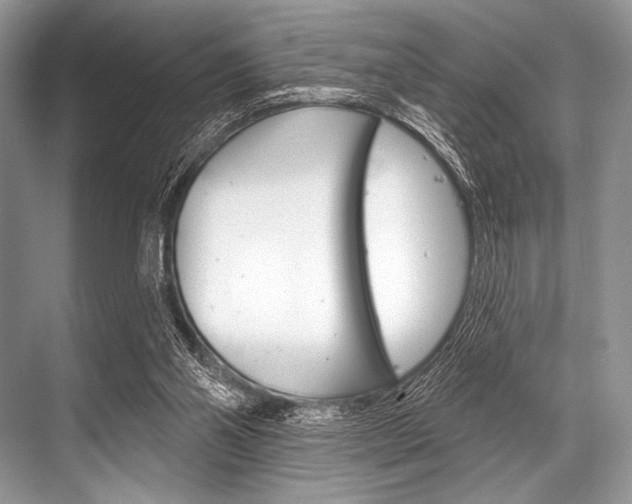 X0000068820110200605050952