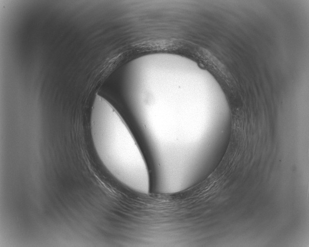 X0000068820119200605050952