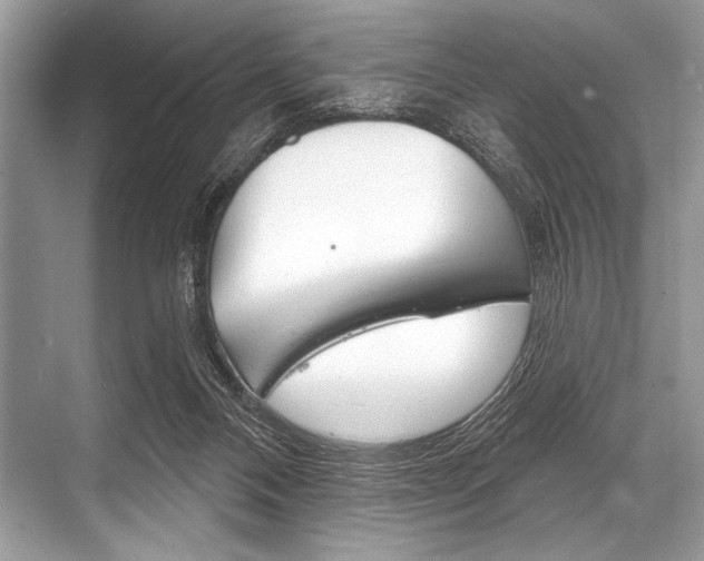 X0000068820120200605050952