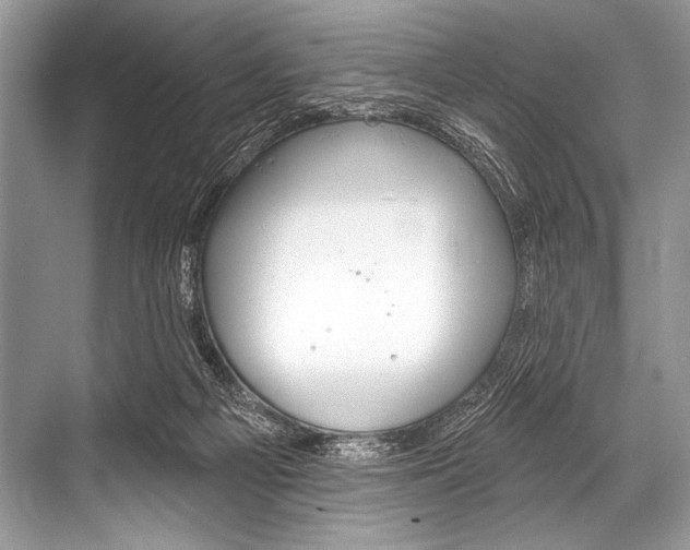 X0000068820121200605050952