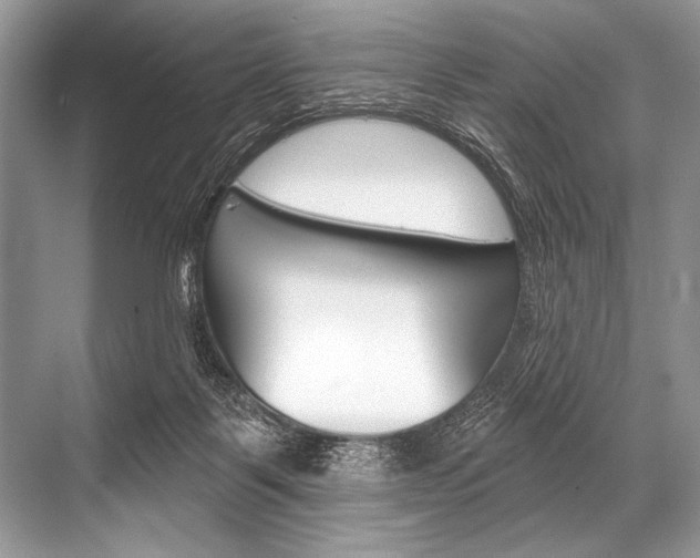 X0000068820123200605050952