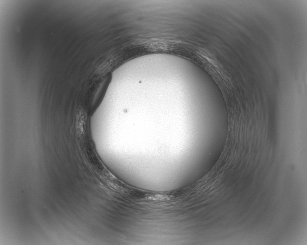 X0000068820125200605050952