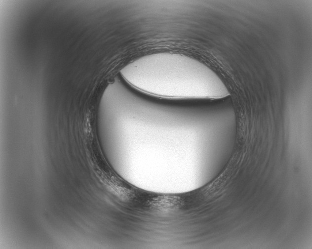 X0000068820128200605050952