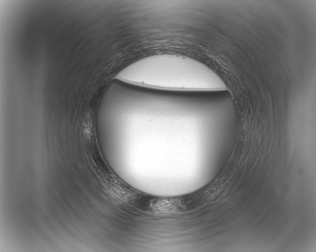 X0000068820129200605050952