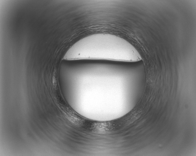 X0000068820131200605050952