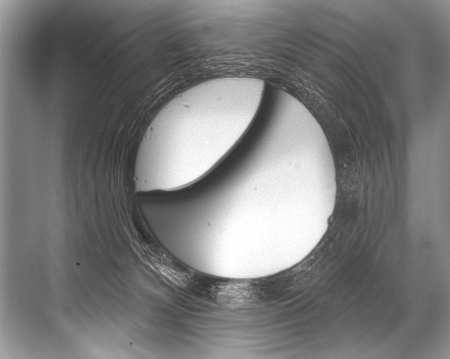 X0000068820132200605050952