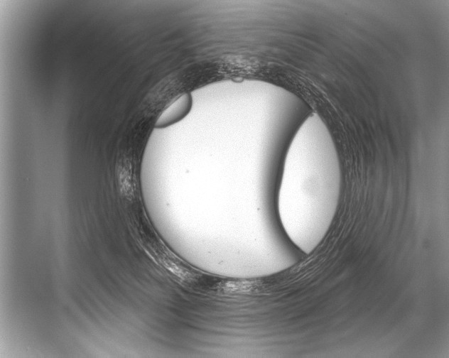 X0000068820134200605050952