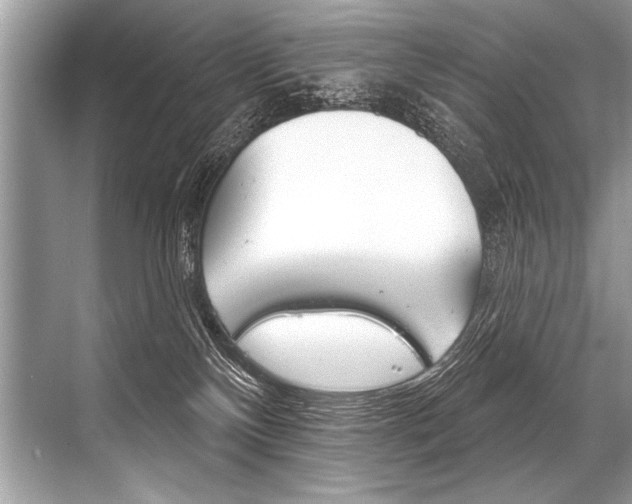 X0000068820136200605050952