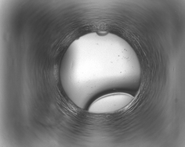 X0000068820144200605050952