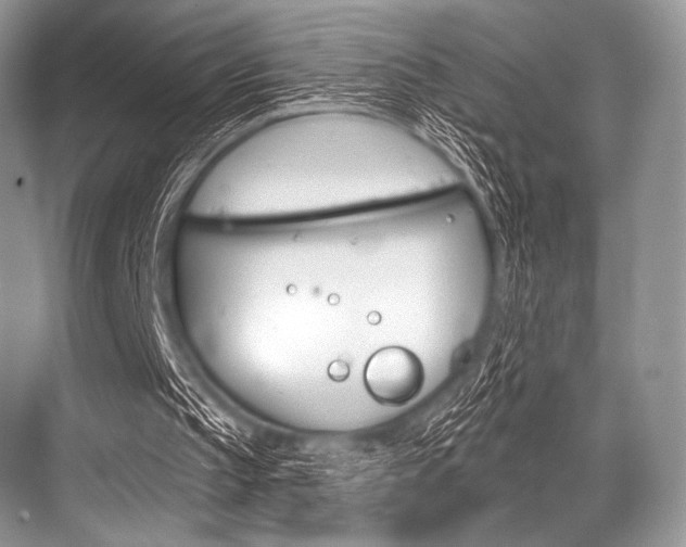 X0000068820145200605050951