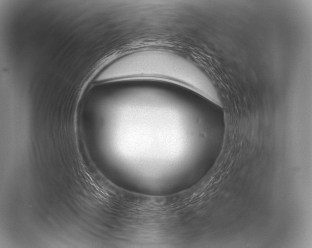 X0000068820148200605050951