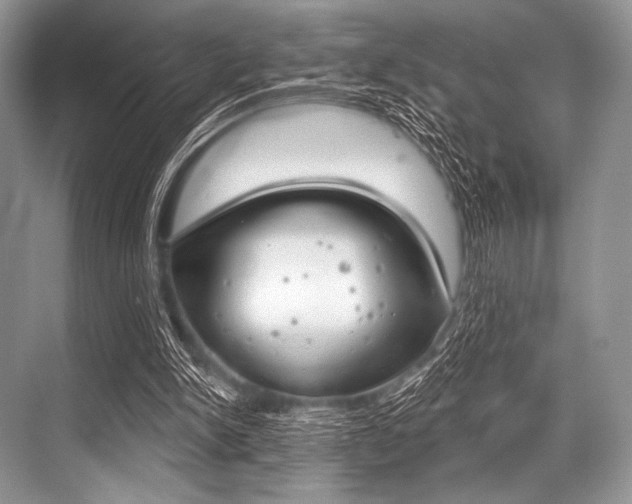 X0000068820150200605050951