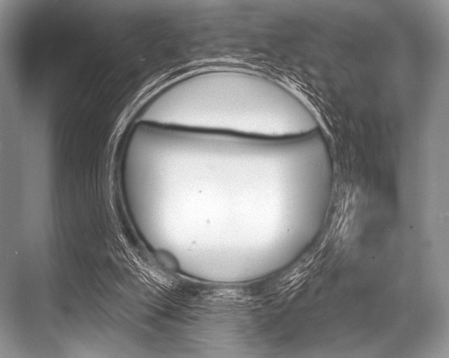 X0000068820151200605050951