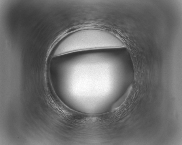 X0000068820152200605050951