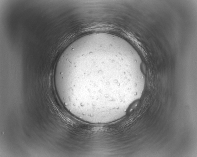 X0000068820153200605050951