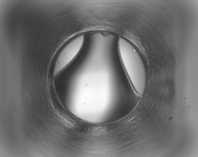 X0000068820156200605050951