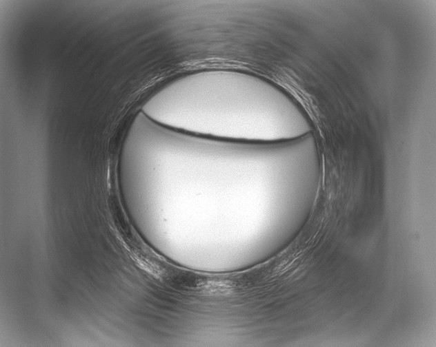 X0000068820157200605050951