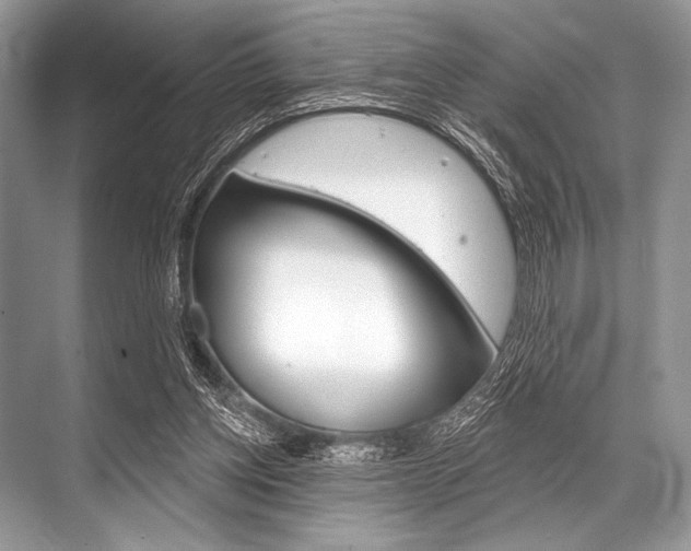 X0000068820158200605050951