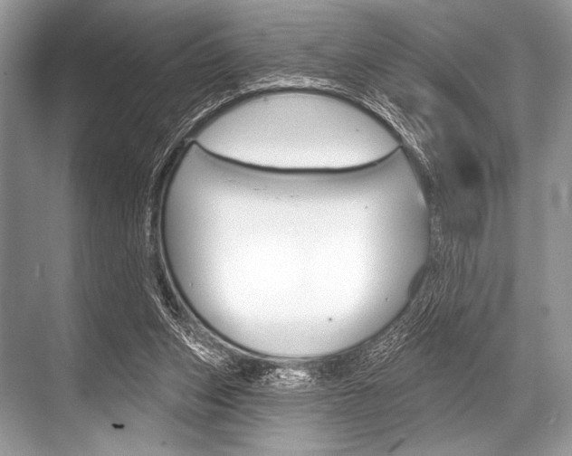 X0000068820159200605050951