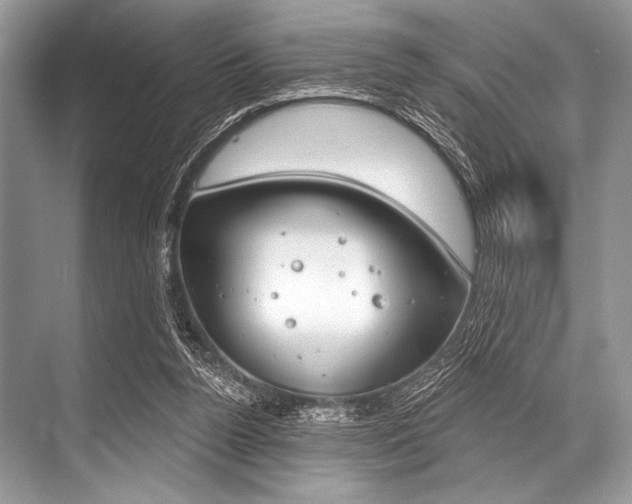 X0000068820160200605050951