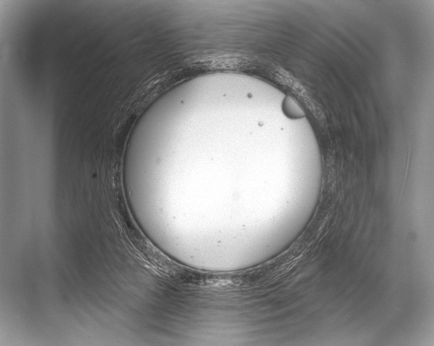 X0000068820161200605050951