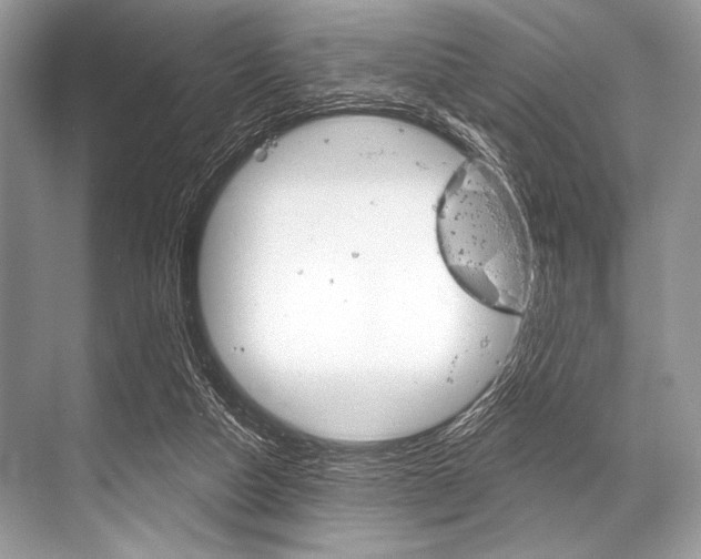 X0000068820162200605050951