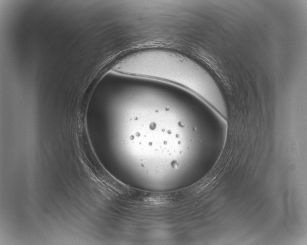 X0000068820164200605050951